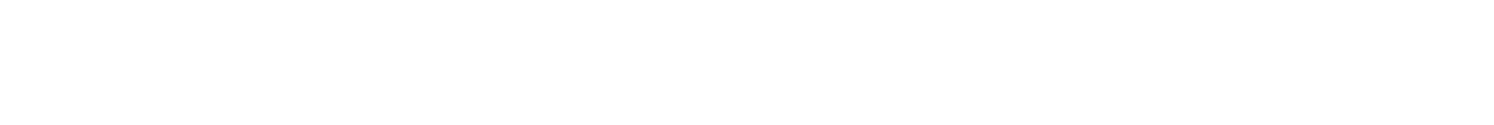 Section Divider